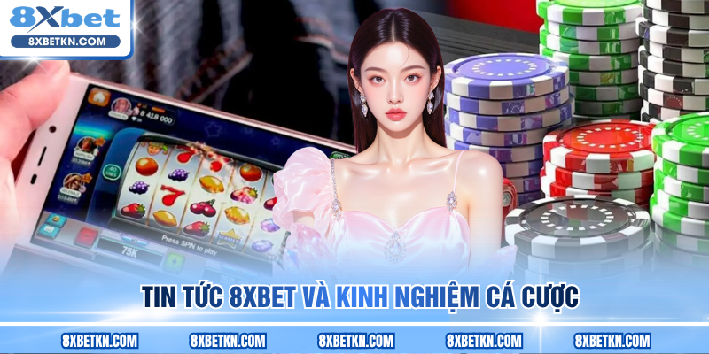 Tin tức 8XBET và kinh nghiệm cá cược Tin tức 8XBET và kinh nghiệm cá cược