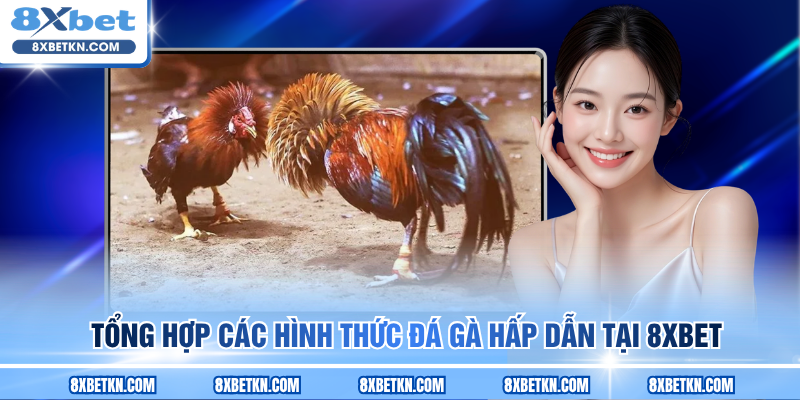 Tổng hợp các hình thức đá gà hấp dẫn tại 8XBET